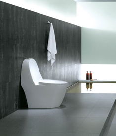 羅芬衛(wèi)浴R8385坐便器價格、圖片及參數(shù)詳解